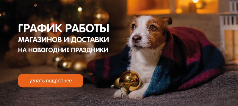 Магазин 4 Лапы Режим Работы
