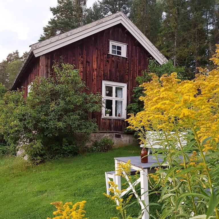 Волосатые дача фото Волосатые дача фото