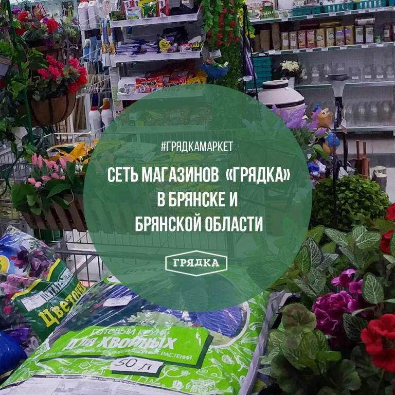 Магазин Грядка В Пензе Каталог Товаров