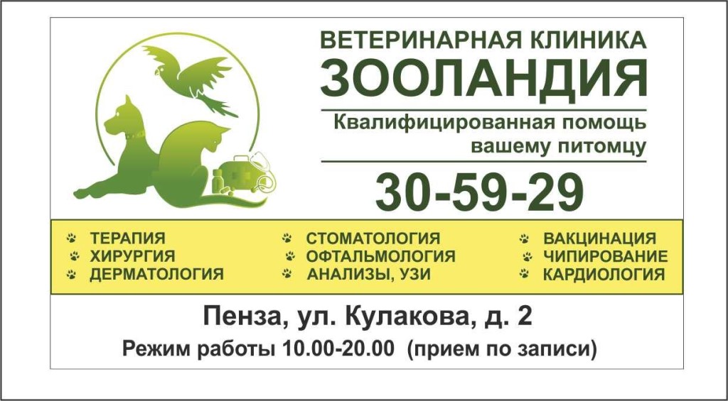 Зооландия Мурманск Интернет Магазин Корма