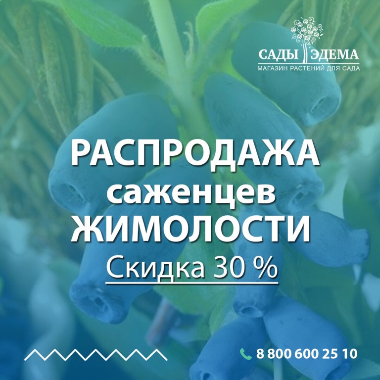 Сады Эдема Интернет Магазин Отзывы Покупателей