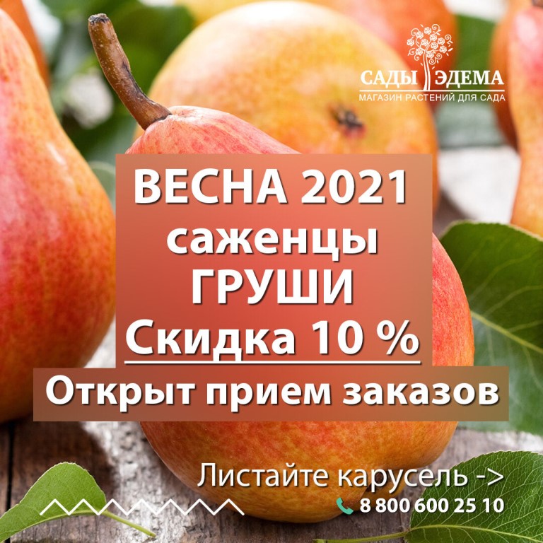 Sadovod Net Интернет Магазин Каталог Весна