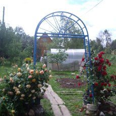 image?t=52&bid=803112904896&id=803112904